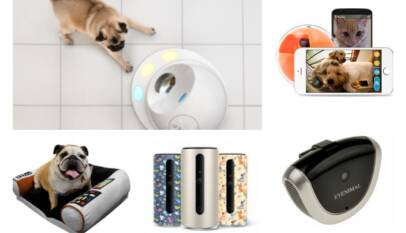 9 Amazing Must-Have Gadgets For Pets 4