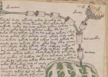 Voynich Manuscript: exact replicas to be made of ‘world’s most mysterious book’