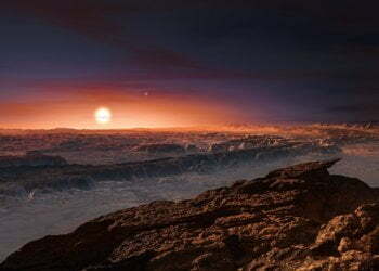 Neighbouring star Proxima Centauri has Earth-sized planet