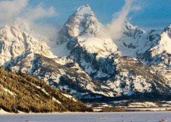 Jackson Hole: World markets hold their breath ahead of Janet Yellen comments at economic summit