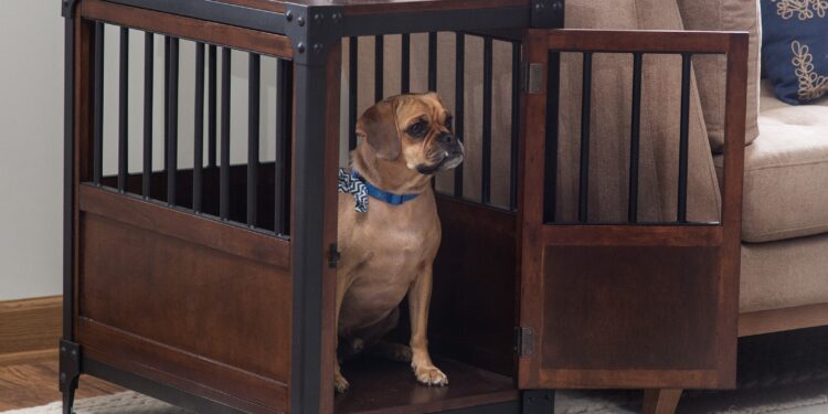 Best portable crate for dogs