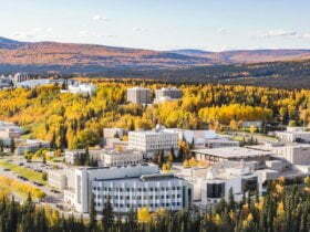 Online schooling ad concentrated on University of Alaska college students attracts criticism 51