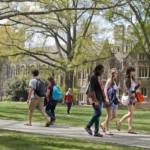 Vets at North Carolina State University Provide Surgeries to an Unexpected Animal 27