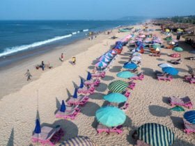 Goa Chief Minister inaugurates kingdom-level process truthful 45