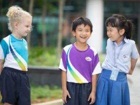 Teaching in the Primary School in the UK 30