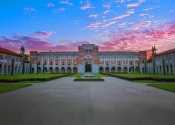 Black lecturers bear brunt of college paintings on race equality