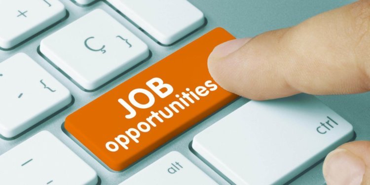 Rural jobs in Jaitley years: How Modi quality-tuned MGNREGA and made it better