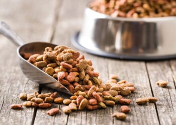 Global Freeze Dried Pet Food Market revenue projected to go up with the aid