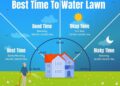 Optimal Time to Water Your Lawn for Lush Greenery