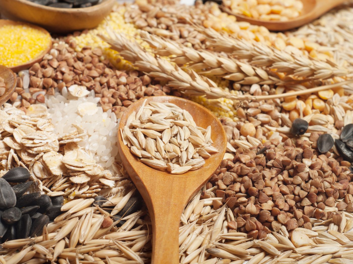 Global Baked Foods & Cereals Database 2010-2017 & 2018-2023