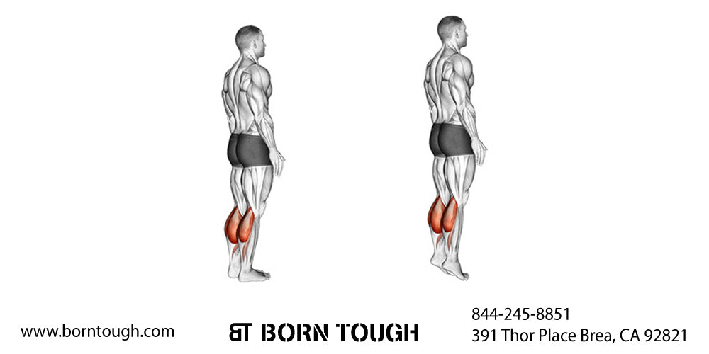 Shin Splints 7 Best Shin Strengthening Exercises Fit Coachion