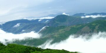 Dizmar Forest: A Natural Wonderland Waiting to be Explored