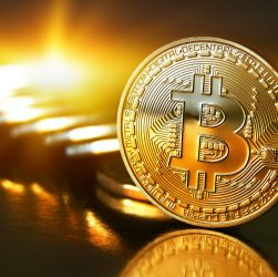 Bitcoin Vs Goldcoin 9 Bitcoin Vs Goldcoin 8