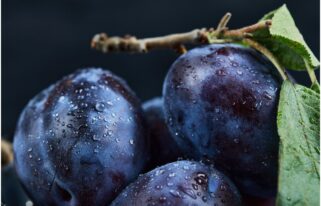 Discover the Sweet and Juicy Goodness of Black Plum: A Guide to this Delicious Fruit 22