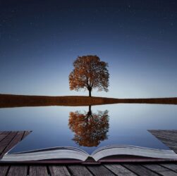 Not the Perfect Life, however a Reflection of Allah’s Perfect Plan 16 Not the Perfect Life, however a Reflection of Allah’s Perfect Plan 12