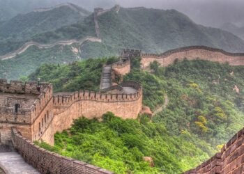 China’s international citizens: Growing wings within the international
