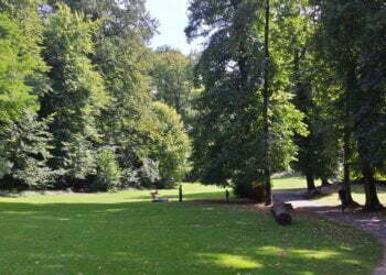 Performance space should come to Flushing’s Sky View Parc