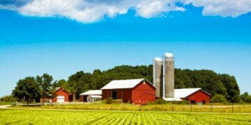 Why China’s dependence on farm subsidies