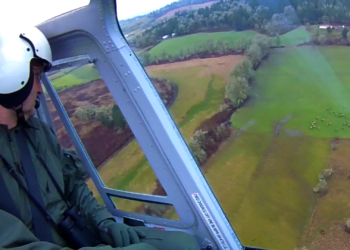 Aerial survey shows good sized damage round Puri