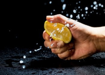 New eating place at Da Silvano web site feels creation squeeze 3 New eating place at Da Silvano web site feels creation squeeze