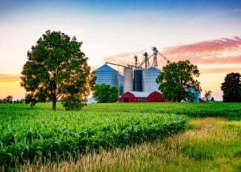 2019 R&D Teams of the Year: Lundberg Family Farms