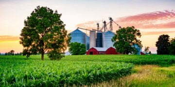 2019 R&D Teams of the Year: Lundberg Family Farms