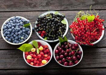 Burgers, berries, bread: 10 ingredients you have to bear