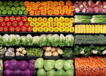 The Propitious Organic Industry In India