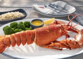 Red Lobster’s Seafood Lover’s Lunch Includes Unlimited Soup
