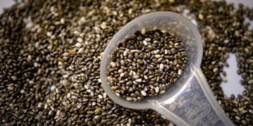 Organic Chia Seeds Market Top Key Players