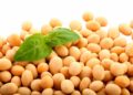 Organic Soy Protein Market Growing Health Awareness Among Consumers