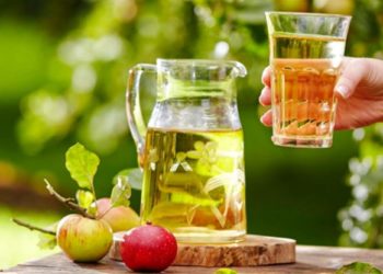 Global Juices Processing Enzymes Market Insights 2019