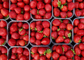 Poteet Strawberry Festival 2022