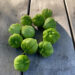 Discover the Versatility of Tomatillo Verde