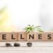 Boost Your Wellbeing with MCT Wellness