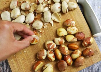 Jackfruit Seeds: Nutrition, Benefits, Concerns, and Uses