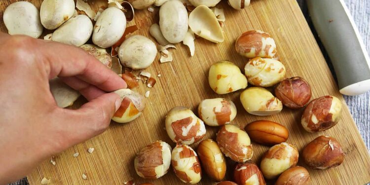 Jackfruit Seeds: Nutrition, Benefits, Concerns, and Uses