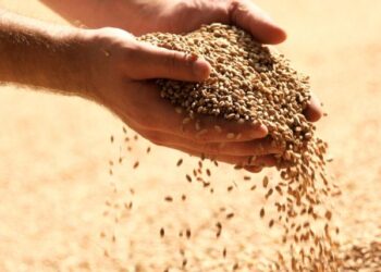 ‘One Needy Person Feeds the Other Ninety-Nine’