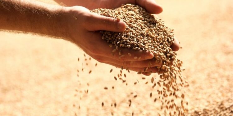 ‘One Needy Person Feeds the Other Ninety-Nine’