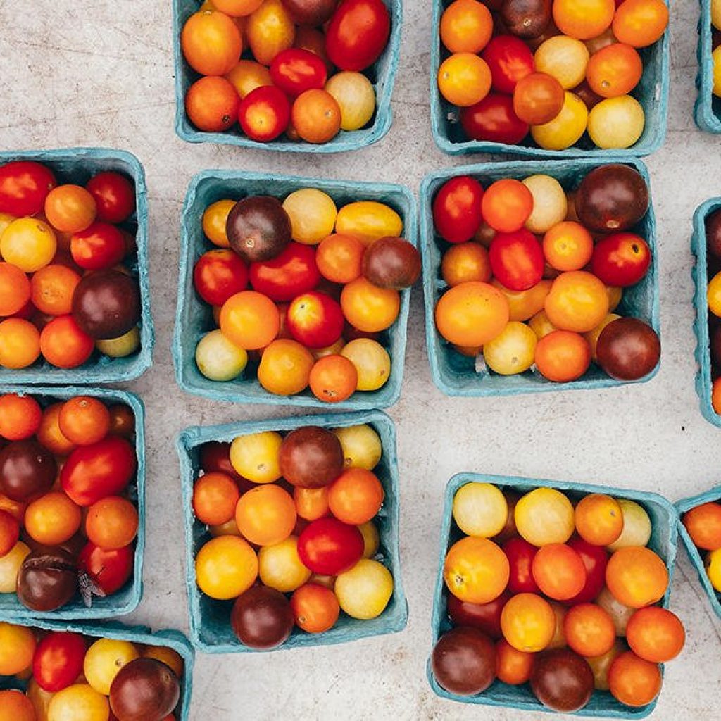 Food and wine fun coming up in Sonoma County