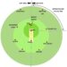 Understanding T20 Powerplay Rules