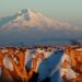 Erciyes Ultra Mountain Marathon Ends