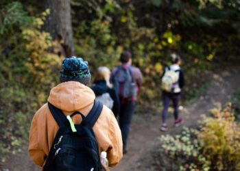 Basil How to Grow Outdoors – A Complete Guide