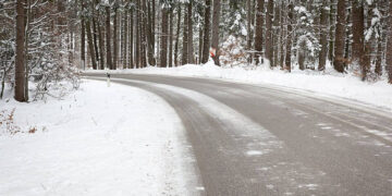 Exploring the Enchanting Russian Woods in Winter