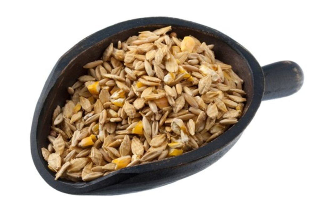 Horse Feed Comparison Different Types of Horse Food Globalamend