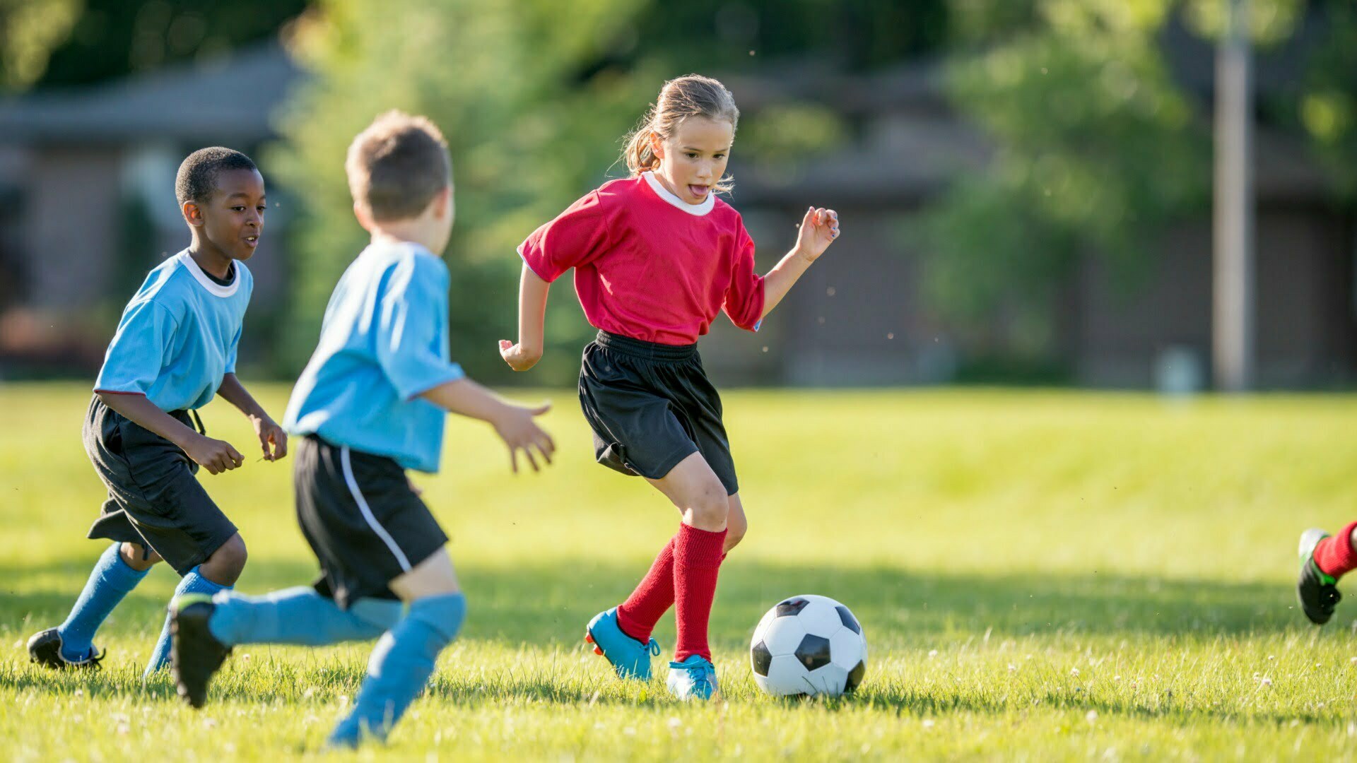 What Are The Most Popular Sports In The World? 3