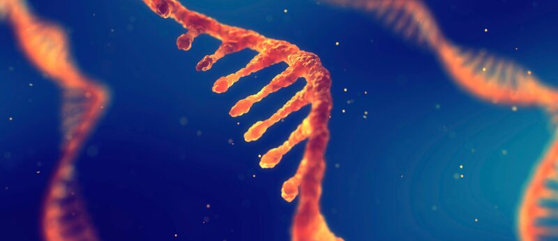 Decoding Cancer Biomarkers: Insights into Lung, Breast, and Other Cancers 2