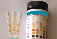 Maximizing Health with Urine Test Strips
