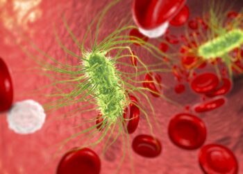 The Aerobic Organism Diet Review – Is It Effective?