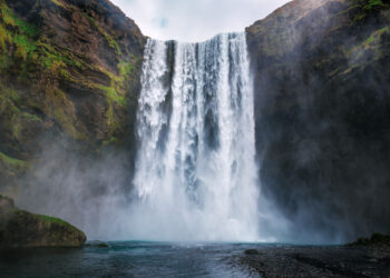 Back to Nature: The Rise of Earth-Sourced Essentials